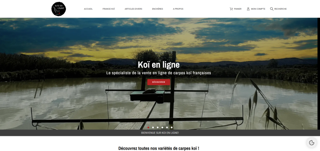 Koï en Ligne