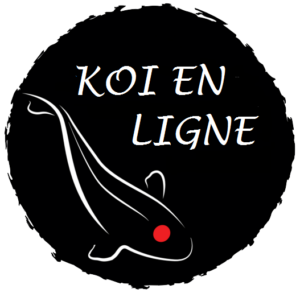 Koï en ligne