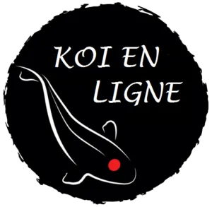 Koï en ligne