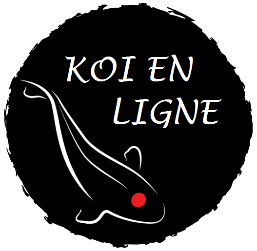 Gérante chez Koï en ligne
